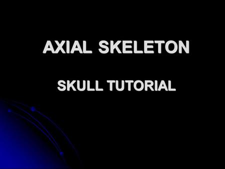 AXIAL SKELETON SKULL TUTORIAL