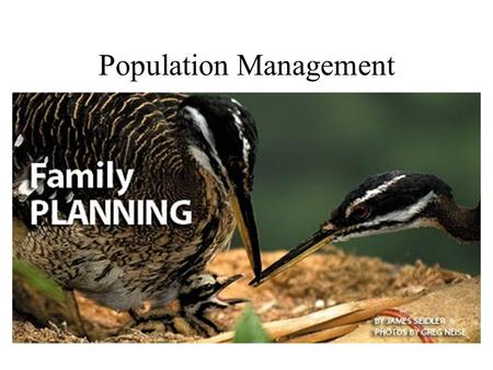 Population Management. Minimum Viable Population The smallest population for a species which can be expected to survive for a long time Many factors effect.