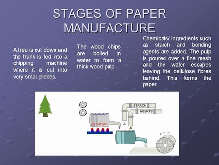 STAGES OF PAPER MANUFACTURE