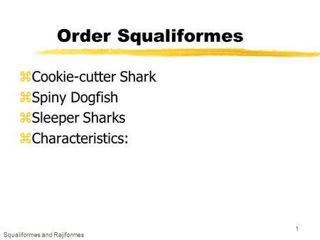 Squaliformes and Rajiformes 1 Order Squaliformes zCookie-cutter Shark zSpiny Dogfish zSleeper Sharks zCharacteristics: