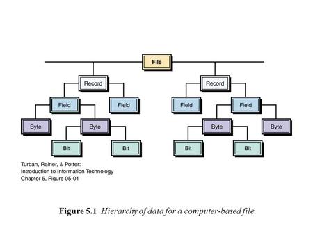 Figure 5.1 Hierarchy of data for a computer-based file.