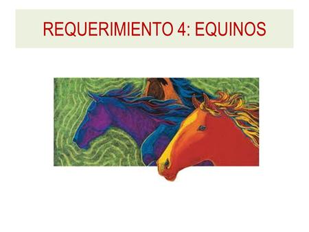 REQUERIMIENTO 4: EQUINOS. HumanRuminantEquine Stomach30%70%9-10% Sm. Intestine 33%19%30% Cecum7%3%16% Lg. Intestine 30%7%45% REQUERIMIENTO de EQUINOS.