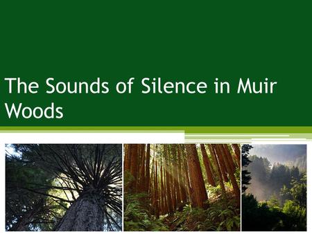 The Sounds of Silence in Muir Woods Problem: impacts to soundscapes; impacts to wildlife Management Strategies: reduce the impact of use Management Practices: