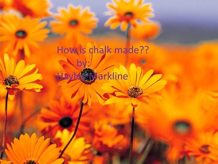 How is chalk made?? By Hayley markline How is chalk made?? by: Hayley Markline.