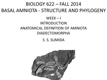 BIOLOGY 622 – FALL 2014 BASAL AMNIOTA - STRUCTURE AND PHYLOGENY WEEK – I INTRODUCTION ANATOMICAL DEFINITION OF AMNIOTA DIADECTOMORPHA S. S. SUMIDA.