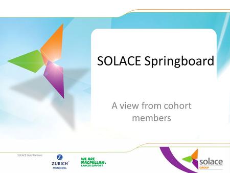 SOLACE Springboard A view from cohort members. Purpose of the Programme Springboard 2014 was funded and led through the SOLACE foundation Springboard.