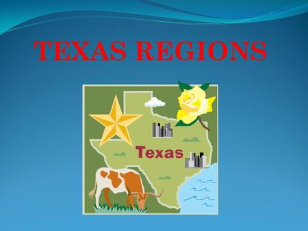 TEXAS REGIONS.