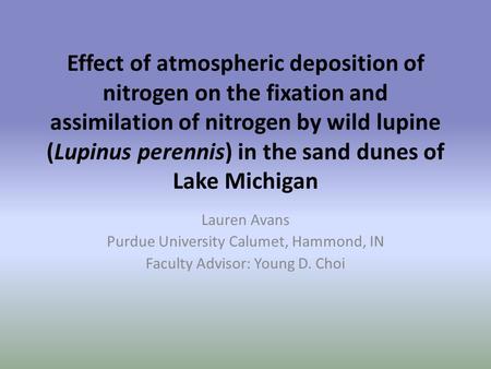 Effect of atmospheric deposition of nitrogen on the fixation and assimilation of nitrogen by wild lupine (Lupinus perennis) in the sand dunes of Lake Michigan.