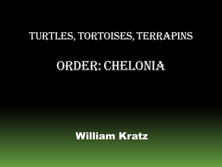 Turtles, Tortoises, Terrapins Order: Chelonia