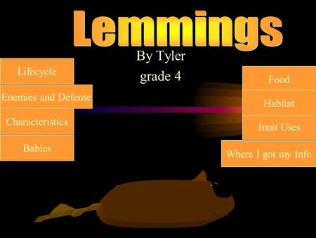 Ifec By Tyler grade 4 Enemies and Defense Inuit Uses Characteristics Babies Food Lifecycle Habitat Where I got my Info.