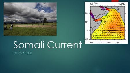 Somali Current TYLER JANOSKI. First, let’s talk about the South-Asian Monsoon  Monsoon develops because of temperature differences between land and sea.