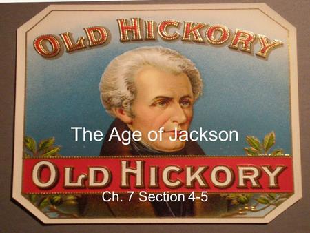 The Age of Jackson Ch. 7 Section 4-5.