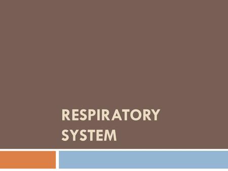 Respiratory System.