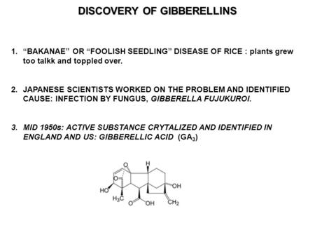 DISCOVERY OF GIBBERELLINS