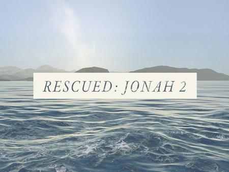 2500 miles GOD RESCUED JONAH... ① through extreme distress Psalm 51:7–8 Purify me with hyssop, and I shall be clean; wash me, and I shall be whiter.