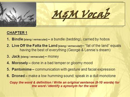 M&M Vocab CHAPTER 1 1. Bindle [slang / vernacular] – a bundle (bedding), carried by hobos 2. Live Off the Fatta the Land [slang / vernacular] – “fat of.