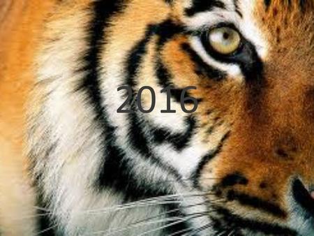 2016. Why Are We Meeting Today? Make sure you know who your counselor is and how he or she can help. Share resources. Answer questions.