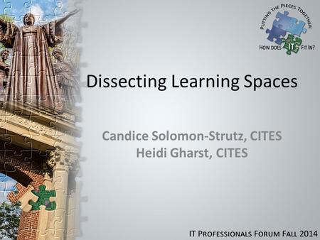 Dissecting Learning Spaces Candice Solomon-Strutz, CITES Heidi Gharst, CITES.