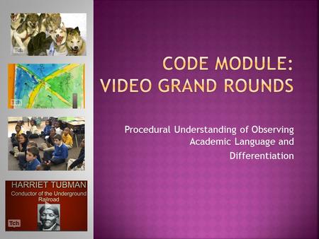 Procedural Understanding of Observing Academic Language and Differentiation.