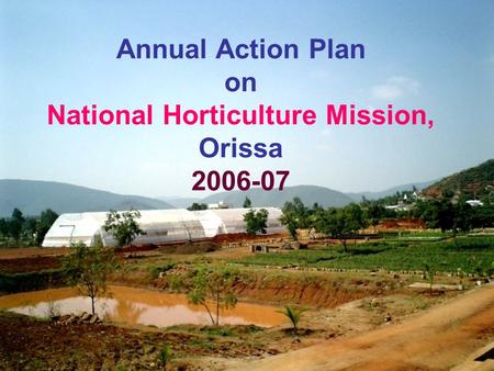 Annual Action Plan on National Horticulture Mission, Orissa 2006-07.