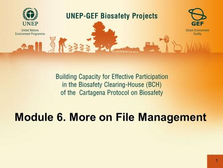 1 Module 6. More on File Management. 2 Update banner.jpg file from File Management. The banner must be 940px wide. Step 1. Click on the File Management.