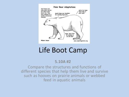 Life Boot Camp 5.10A #2 Compare the structures and functions of different species that help them live and survive such as hooves on prairie animals or.