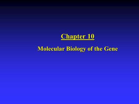 Molecular Biology of the Gene