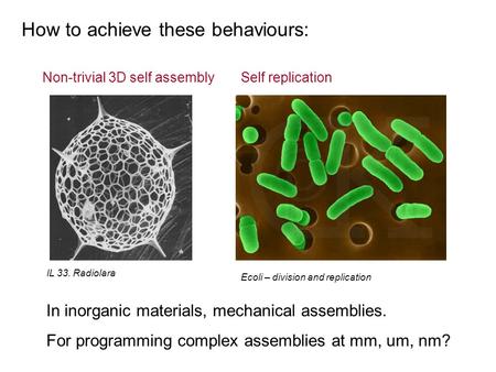 How to achieve these behaviours: IL 33. Radiolara Ecoli – division and replication Non-trivial 3D self assemblySelf replication In inorganic materials,