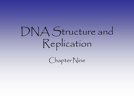 DNA Structure and Replication