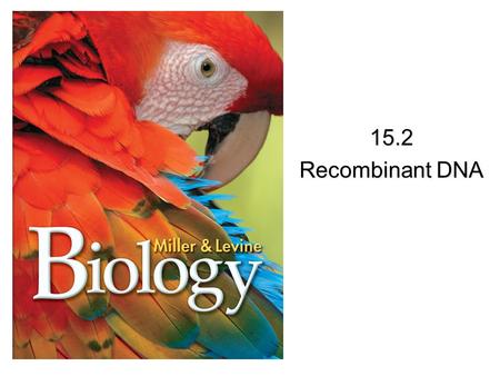 15.2 Recombinant DNA.