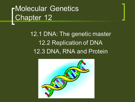 Molecular Genetics Chapter 12