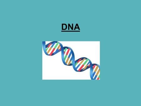 DNA. Early Experiments Griffith (1928) –Used Streptococcus pneumoniae S-strain (pathogenic) R-strain (not pathogenic)