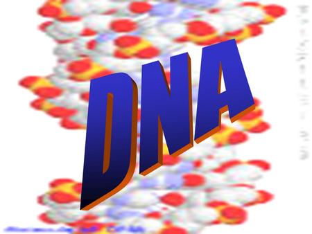 DNA.