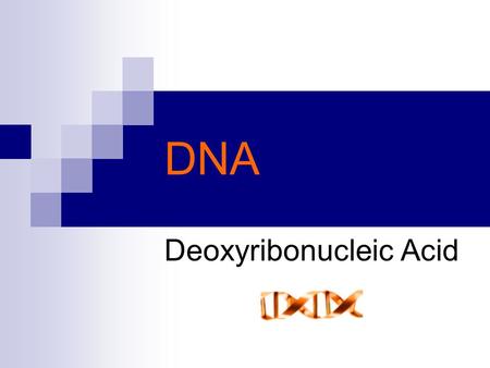 Deoxyribonucleic Acid