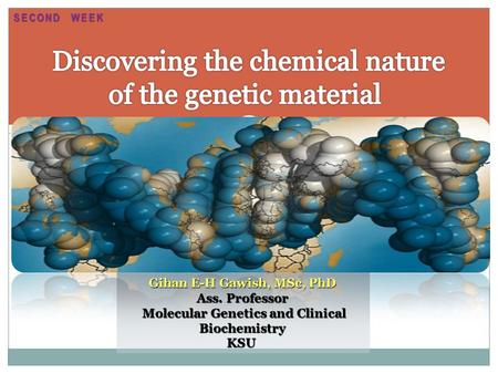 Gihan E-H Gawish, MSc, PhD Ass. Professor Molecular Genetics and Clinical Biochemistry Molecular Genetics and Clinical BiochemistryKSU SECOND WEEK.