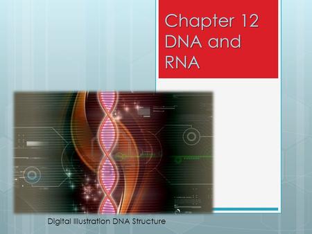 Chapter 12 DNA and RNA Digital Illustration DNA Structure.