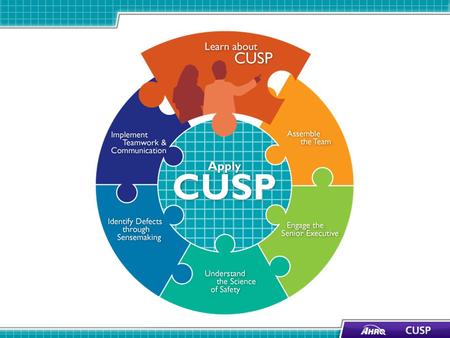 Learning Objectives Review the impact of errors and patient harm and the underlying causes of errors Show how CUSP supports other quality and safety tools.