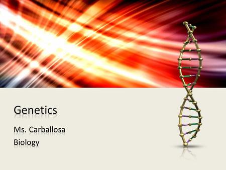 The genome is the full set of genetic information that an organism carries in its DNA A karyotype shows the complete diploid set of chromosomes grouped.