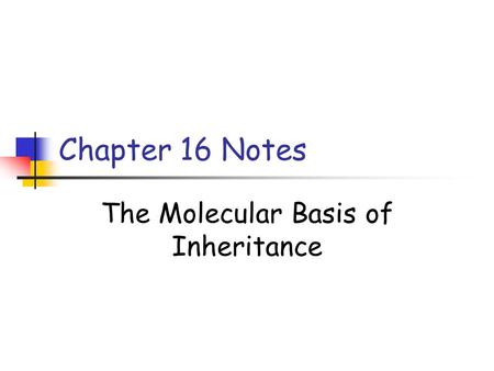 The Molecular Basis of Inheritance