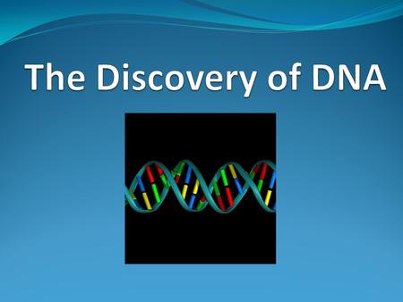 The Discovery of DNA.