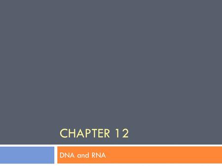 CHAPTER 12 DNA and RNA. 12-1: DNA  How was DNA discovered?  Fredrick Griffith  Oswald Avery  Hershey & Chase  Watson & Crick.