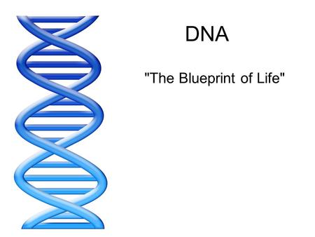 DNA The Blueprint of Life.