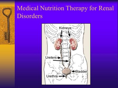 Medical Nutrition Therapy for Renal Disorders