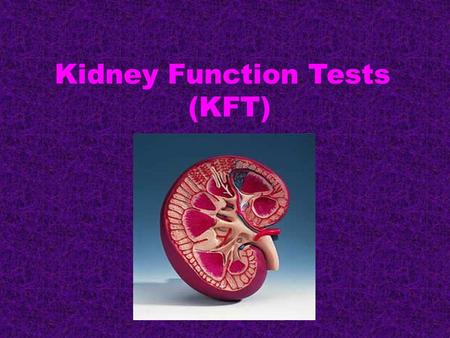 Kidney Function Tests (KFT)