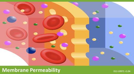 Membrane Permeability 012-10971 r1.04. The Snapshot button is used to capture the screen. The Journal is where snapshots are stored and viewed. The Share.