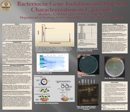 Abstract Enterococci are a part of the normal flora of the human intestine and can reach concentrations of up to 10 8 CFU/gram in feces. As an opportunistic.