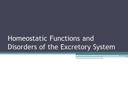 Homeostatic Functions and Disorders of the Excretory System