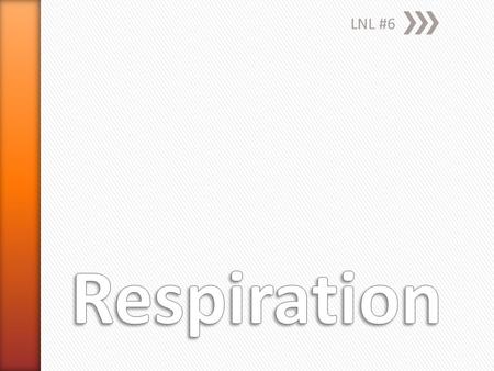 LNL #6. »Read through the entire experiment so you will know what is coming up next. »Write your hypothesis using the “If- Then” format. Each experiment.