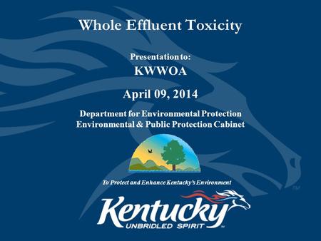 Whole Effluent Toxicity