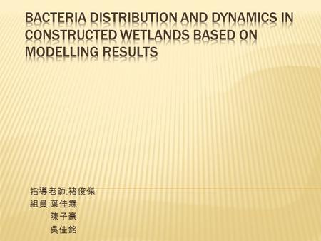 指導老師 : 褚俊傑 組員 : 葉佳霖 陳子豪 吳佳銘.  Bacteria communities growing in constructedwetlands play a major role on the removal of pollutants fromwastewater and the.